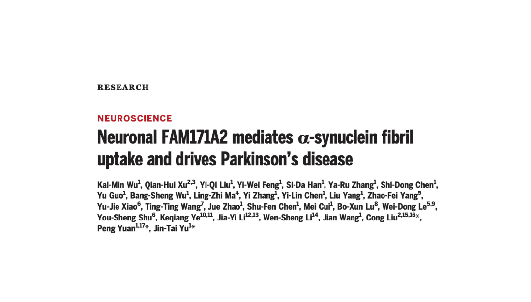 神经元 FAM171A2 介导 a-突触核蛋白纤维的摄取并驱动帕金森病
